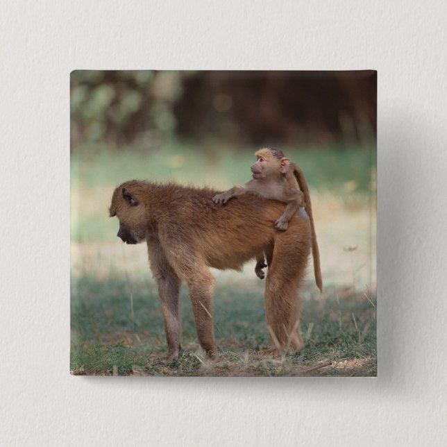 Anubis Baboon Pinback Button (Front)