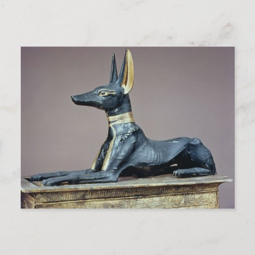 Anubis Egyptian god of the dead from a chest Postcard