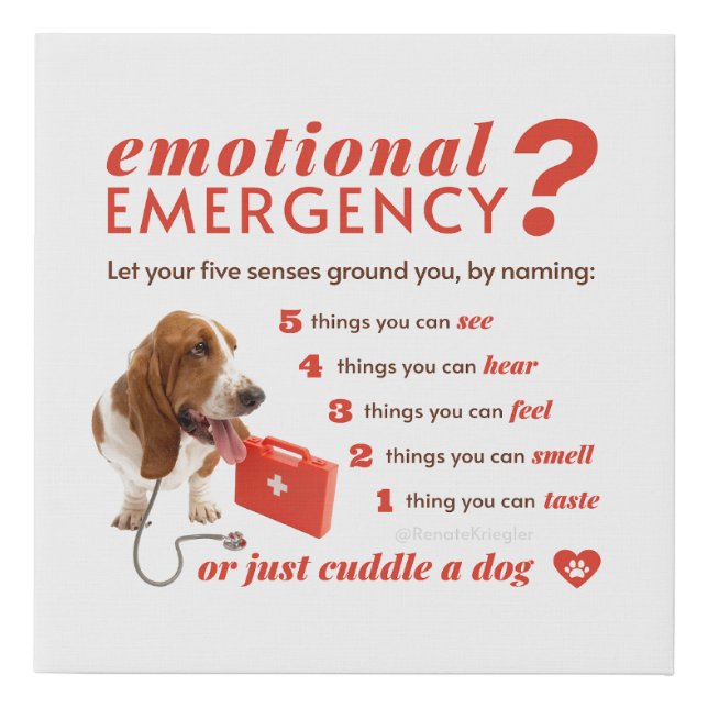 Anxiety - 54321 Countdown - Doctor Dog - Bassett  Faux Canvas Print (Front)