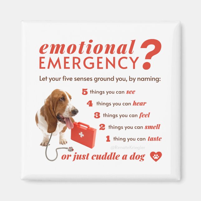 Anxiety - 54321 Countdown - Doctor Dog - Bassett Magnet (Front)