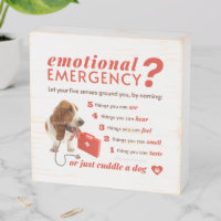 Anxiety - 54321 Countdown - Doctor Dog - Bassett