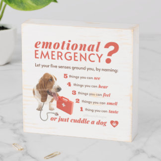 Anxiety - 54321 Countdown - Doctor Dog - Bassett Wooden Box Sign