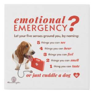 Anxiety - Doctor Dog - 54321 Countdown Faux Canvas Print