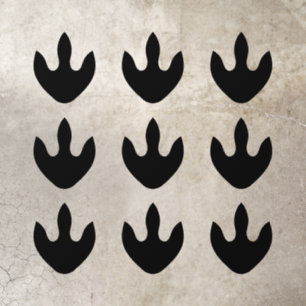 Any color dinosaur footprint floor decals