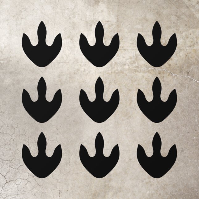 Any color dinosaur footprint floor decals (Insitu)