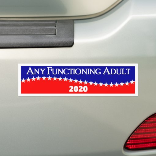 Any Functioning Adult 2020 Bumper Sticker | Zazzle