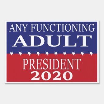 Any Functioning Adult 2020 Sign | Zazzle