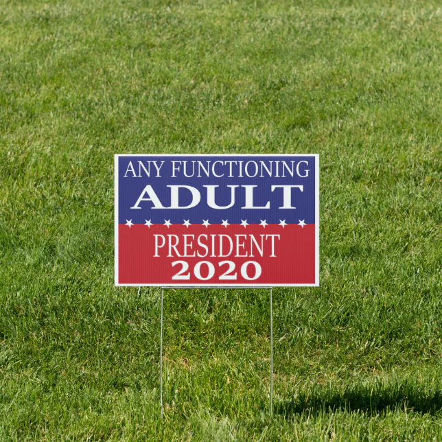 Any Functioning Adult 2020 Sign | Zazzle