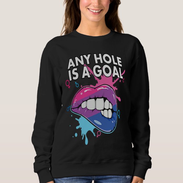 Any Hole Is A Goal Bisexual Rainbow Pride Bisexual Sweatshirt (Front)