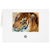 Any Occasion _ Card (Back Horizontal)