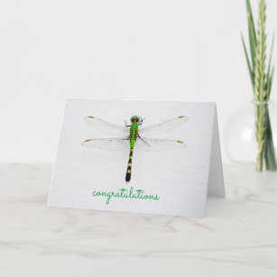 Any Occasion Congratulations with Dragonfly Card