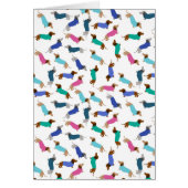 Any Occasion Dachshund Greeting Card (Front)