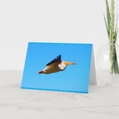 Any Occasion Flying Pelican Card