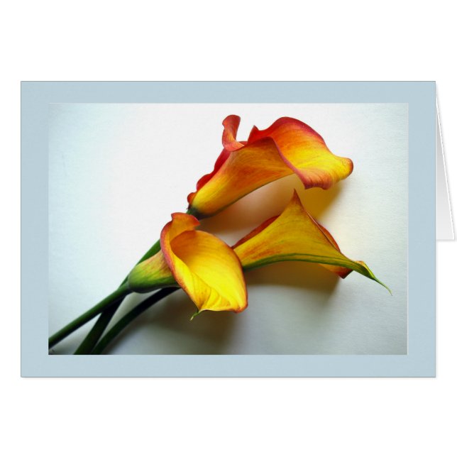 Any Occasion Mango Colored Calla Lily Photograph Cards (Front Horizontal)