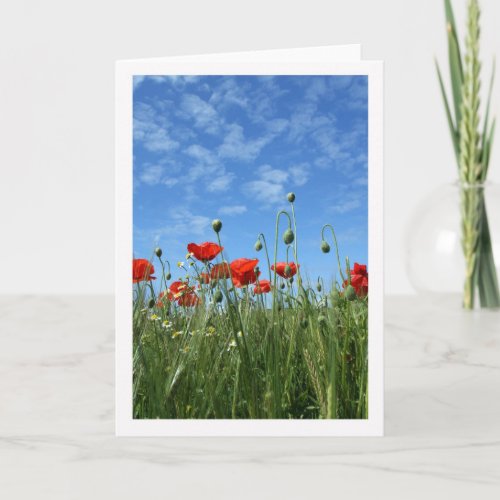 Any Occasion _ Note Card _ Red Poppies In A Meadow