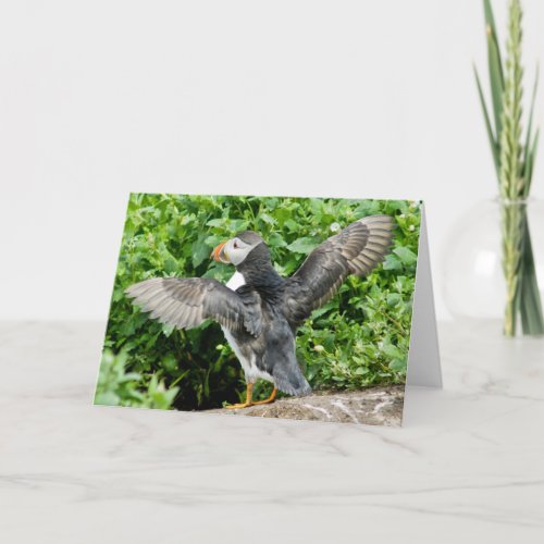 Any Occasion Puffin Greeting Card