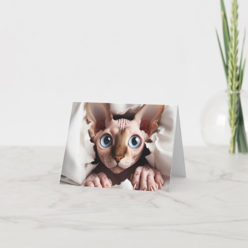 Any Occasion Sphynx Card