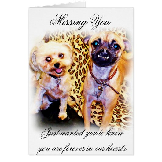 Any Occasions_ Cards (Front)