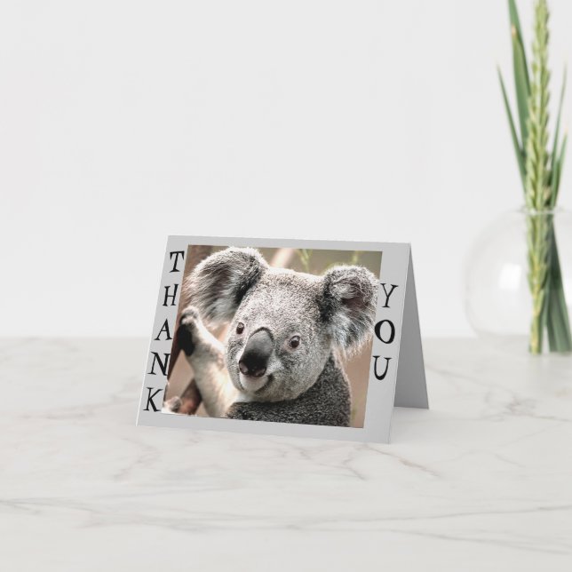 Any Occasions,Koala Bear_ Thank You Card (Front)