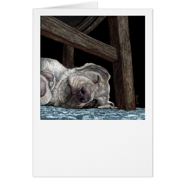 "Any Port for a Nap" Yellow Lab Card (Front)