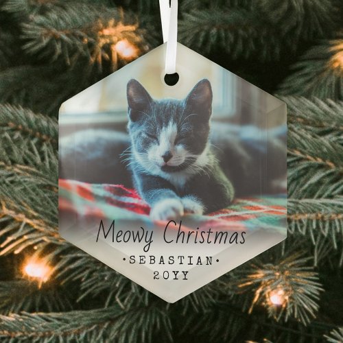 Any Text Meowy Christmas Cat Simple Hexagon Photo Glass Ornament