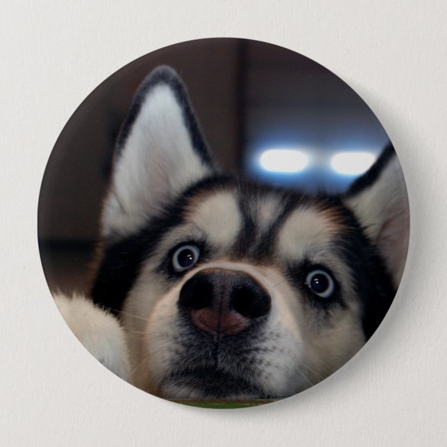 Anybody Out There? Pinback Button (Front)