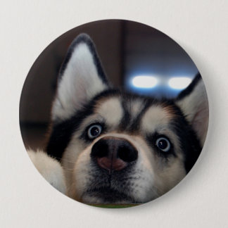 Anybody Out There? Pinback Button