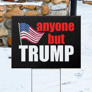 Anyone But Trump Funny 2024 Election Sign