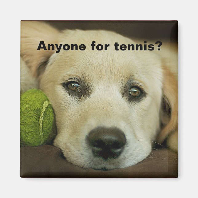 Anyone for tennis, golden retriever. magnet (Front)