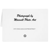 Anyone Have A Towel? (Back Horizontal)