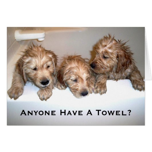 Anyone Have A Towel? Cards (Front Horizontal)