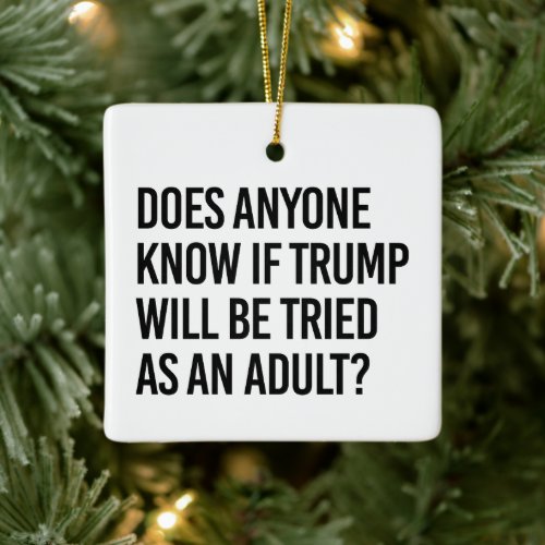 Anyone know if trump will be tried as an adult ceramic ornament