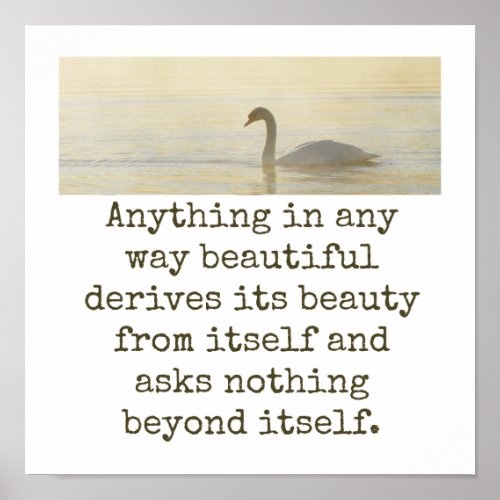 Anything In Any Way Beautiful _ Beauty Quote  Poster