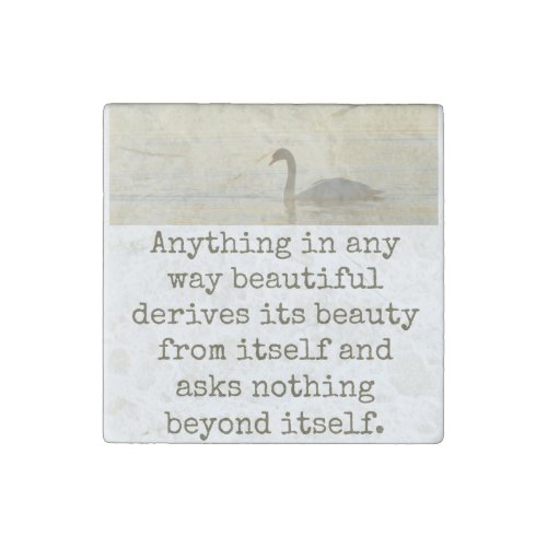 Anything In Any Way Beautiful _ Beauty Quote  Stone Magnet