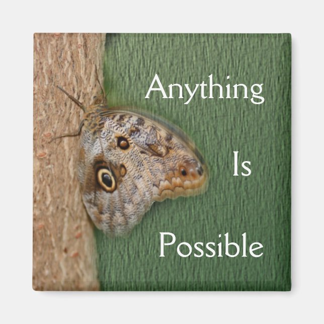 Anything Is Possible Butterfly Magnet (Front)