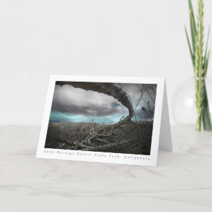 Anza-Borrego Desert dead ocotillo Thank You Card