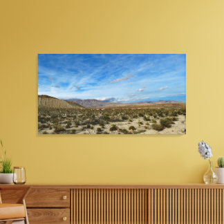 Anza Borrego Desert State Park Canvas Print