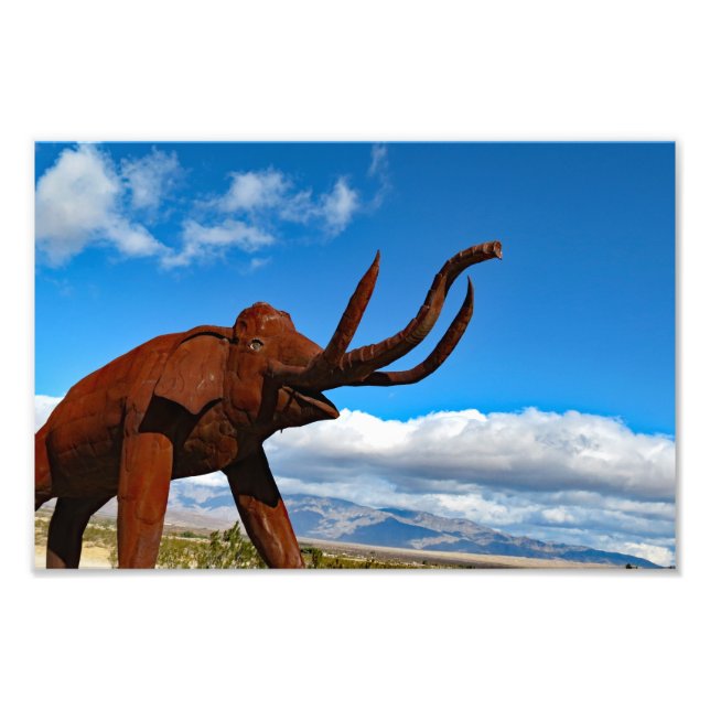 Anza Borrego Desert State Park  Photo Print (Front)