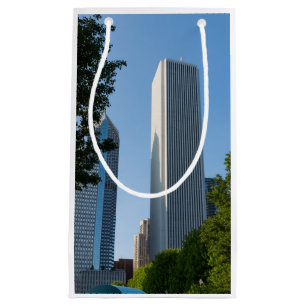 Aon Center Chicago Small Gift Bag