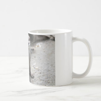 Aonyx cinerea coffee mug