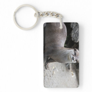Aonyx cinerea keychain