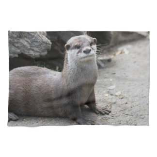 Aonyx cinerea kitchen towel