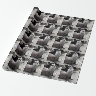 Aonyx cinerea wrapping paper