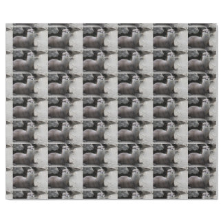 Aonyx cinerea wrapping paper