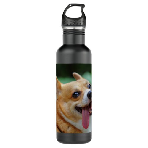Aortic Dissection Survivor red_ribbon raising awa Stainless Steel Water Bottle