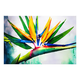 *~* AP10 Bird of Paradise Art Painting #23 Photo Print