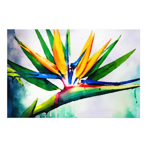  AP10 Bird of Paradise Art Painting 23 Photo Print