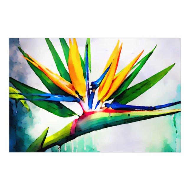 *~* AP10 Bird of Paradise Art Painting #23 Photo Print (Front)