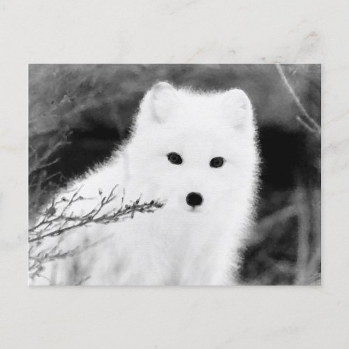  AP18 Twig Fox White Snow Fox Arctic Polar Postcard