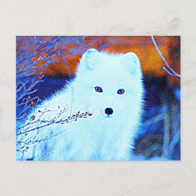 *~* AP18 Twig Snow Fox White Fox Arctic Polar Postcard (Front)